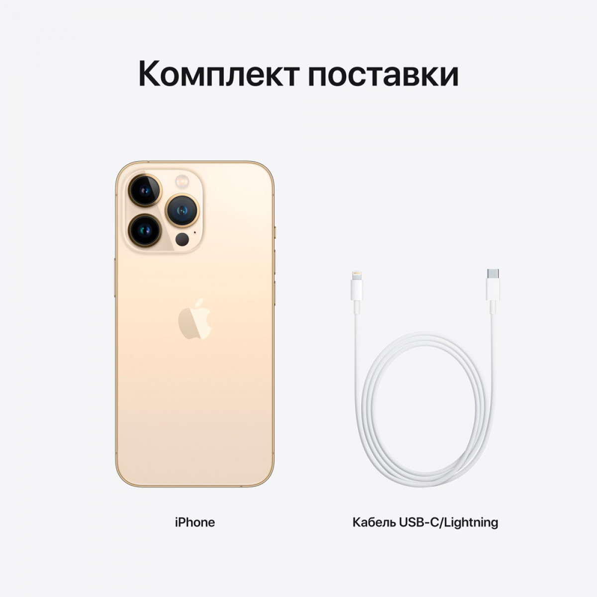 iPhone 13 Pro, 1 ТБ, Золотой